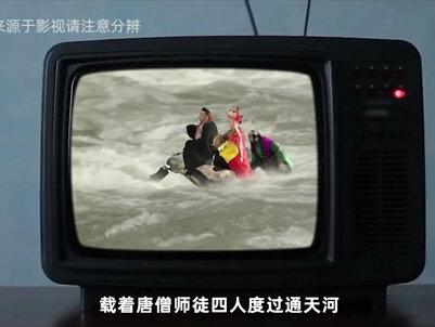 浙江孵化出的神兽“霸下”,比大熊猫更稀少,中国可能仅剩200只 #浙江 #鼋 #神兽