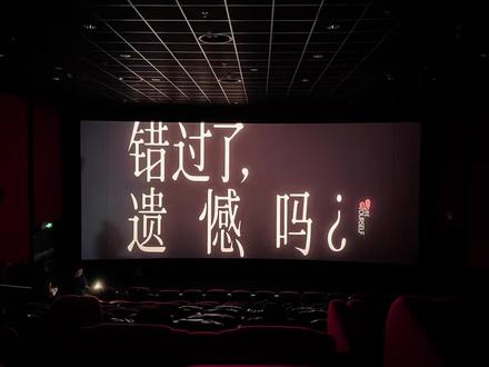 故事仓促落幕,爱意无疾而终,错过即是一生,遗憾从未消减。#错过了遗憾吗 #庄达菲 #王安宇