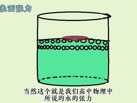 硬币能浮在水面上吗
#科学实验 #趣味实验 #科学小实验 #科学 #创作灵感