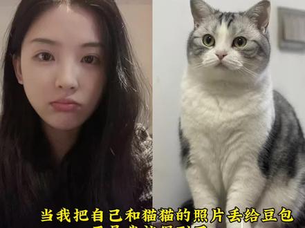 豆包太权威了~和宠物拥抱ai合照指令教程来啦!!#和猫咪合照#和宠物合照#豆包ai #豆包P图已经nextlevel了 #豆包P图指令 和自家萌宠合照 豆包P图 和小猫合照 豆包P图指令猫咪 和小猫合照 和小狗合照 猫咪合照 和猫咪相拥 和小猫合照