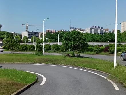 科目二曲线行驶点位详解#考驾照 #科目二 #星沙考场魏教练 #一把过