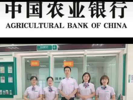 农行惠农e货,助力乡村振兴
联系电话13797141033