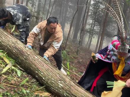 过年来屏边踩花山#少数民族文化 #大山里的原生态 #民族特色民族文化