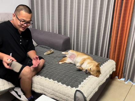 主人假装吃狗肉,当狗狗看见主人磨菜刀后,吓得赶紧作揖求饶!逗#狗狗 #宠物 #萌宠出道计划 #汪星人