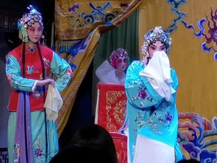 亲闺女随娘这话没毛病,贾老师您说呢😂#麒麟剧社 #陶阳云圣 #夏一凡 #贾怀胤