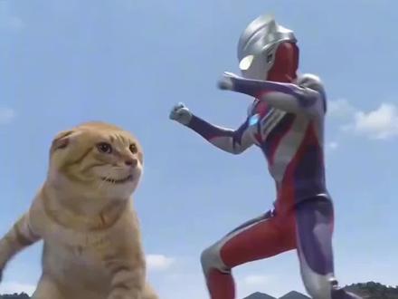 AI猫咪大战奥特曼视频制作教程来了~ #ai猫咪大战奥特曼 #哈基米大战奥特曼 #小云雀AI #小云雀爆款马上成片 #小云雀seedance 哈基米大战奥特曼 哈基米大战奥特曼ai指令 豆包大战奥特曼 seedance2.0免费体验 小云雀ai使用教程 ai奥特曼打架一键生成 奥特曼ai打架一键生成