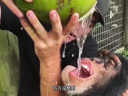 百分百椰子水竟然可能不含椰子#椰子水#塌房#百分百椰子水#315#椰子汁