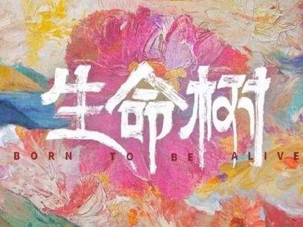 对《生命树》的评价打分。