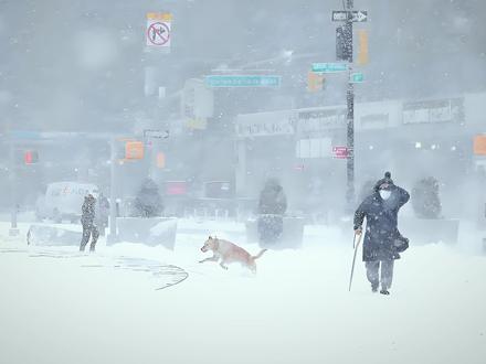 暴风雪下,美国电价涨14倍,中国会涨多少? #美国电价最高暴涨65倍