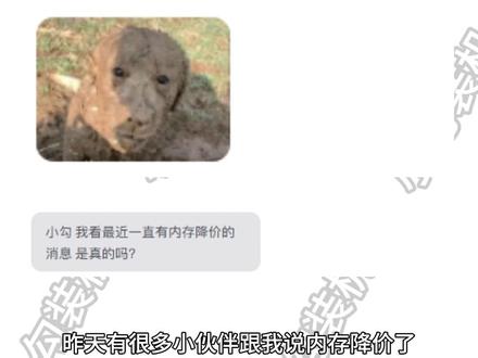 内存降价了?镁光海力士扩产?我看并非好消息!短期不会大幅降价 #内存 #电脑 #CPU #显卡