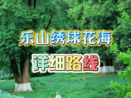 乐山绣球花海详细路线
季节限定!绣球花海,一键坠入莫奈花园#绣球花海 #乐山绣球花 #镜头里的春日美景 #春天逛公园才是正经事 #乐山周边游