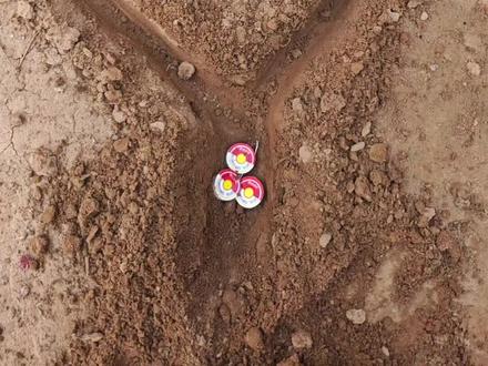 彩菊旋转老六#过年 #放炮 #爱心烟雾 #彩菊烟花