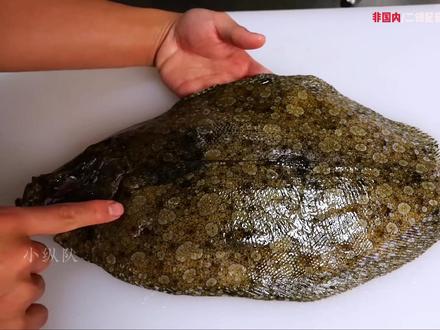 渔民赶海之多宝鱼的解剖与烹调 #多宝鱼 #渔民生活实拍