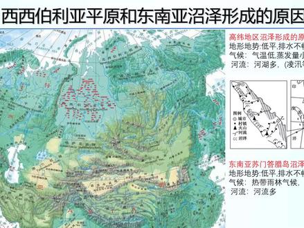 西西伯利亚平原和东南亚沼泽形成的原因分析 #沼泽形成的原因分析 #西西伯利亚平原和东南亚