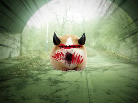 你是什么东西也敢伤害猪妞的宝宝#猪妞 #二次元 #搞笑 #抽象 #小剧场