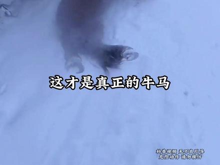 遇到这些情况需要跑吗? #危险动作请勿模仿 #危险 #户外 #涨知识