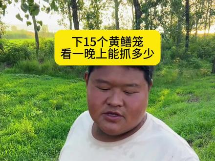 15个黄鳝笼 能抓多少黄鳝#新农人新计划 #农村创业生活