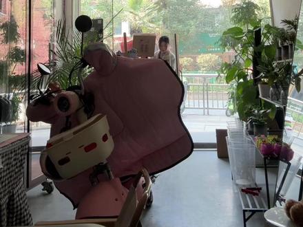 有没有经常玩拍立得的友友们 mini12新手值得入手吗好操作不哦 只是简单拿来拍花花 让每一束花都有属于它的身份证~#纳雍小小花屋