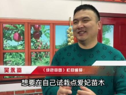 国内种爱妃苹果,究竟靠不靠谱?(一)#抖音助农 #三农 #农业 #乡村守护人