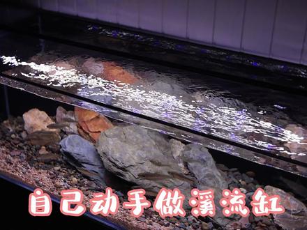 自己动手做溪流缸,一共花费多少?今天来算个总帐#溪流缸制作 #周转箱过滤制作 #周转箱 #溪流缸组装教程
