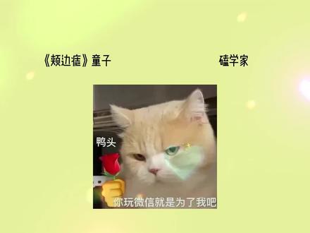 锥儿啊,爷把你八抬大轿娶回家!
#颊边痣 #推书 #情侣