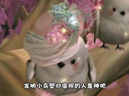 发明小鸟塑归宿照的人是神吧 #第五人格 #第五人格五骥映春