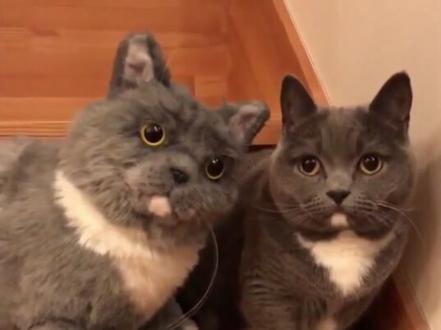 【第四期分享】seedance2提示过审?轻而易举! #seedance2#教程#ai视频