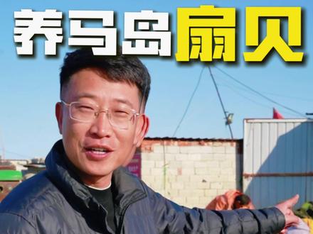 家人们!来学真本事了!养马岛船长宝哥带你看扇贝如何清洗筛选,咋剥出完整的扇贝丁!更绝的是,扇贝丁还能分公母?你瞅过吗?看完视频,以后买扇贝、吃扇贝,你就是行家!#养马岛 #在拍一种很新的vlog #海鲜处理 #渔民生活实拍 #扇贝