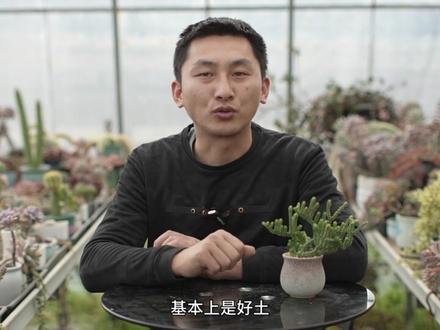 简单判断营养土好坏的方法。可能会得罪某些商家了。#园艺生活 #营养土 #花卉绿植