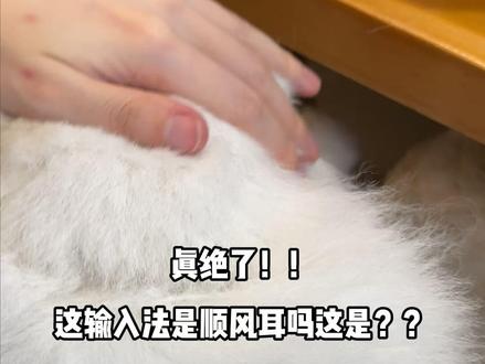 豆老师输入法真的成精了!!! 这#豆包输入法 成精了吗?怕是有顺风耳!以后打字就解放双手了!#豆包ai