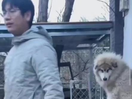 骏良带婴儿园的小狗们去郊游啦🥳#胖夫夫 #骏良