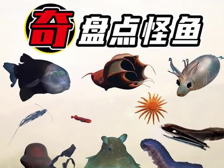 来自深海的红刺鲸@西瓜视频 #star #上西瓜看知识