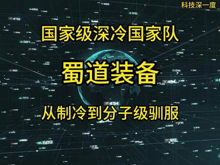 盛视科技---智慧口岸的“AI守门人”