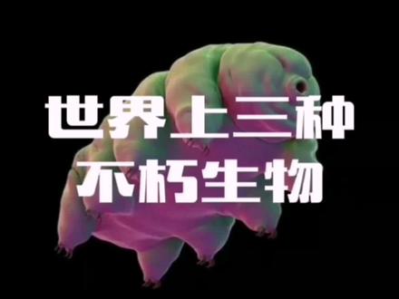 世界上三种不朽生物!#科普 #不朽生物 #长寿