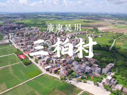 寻根问祖吴川三柏李氏,黄坡镇三柏村。#航拍 #吴川 #李氏家族 #寻根问祖 #新农村