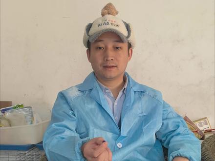 鹦鹉脚环,能为我们传递什么信息?#鹦鹉脚环 #鹦鹉养殖 #养鸟经验分享 #鹦鹉脚环安装 #鸟类脚环