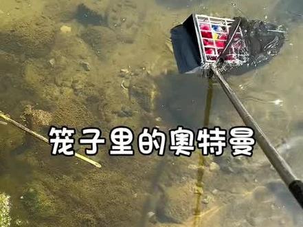 0到3岁早教儿歌-适合0-3岁儿童的早教儿歌盘点-启蒙益智早教儿歌-早教益智儿歌-1-3岁儿童早教益智儿歌 #奥特曼儿童动画片 #奥特曼打怪兽 #亲子互动 #启蒙早教 #益智动画