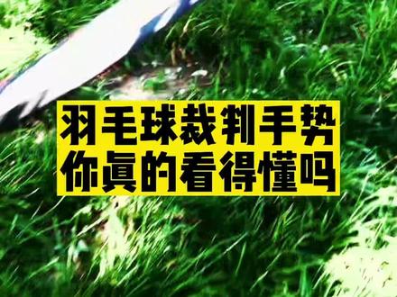 羽毛球裁判手势你知道几个?#羽毛球#谌龙 #谌龙教羽毛球