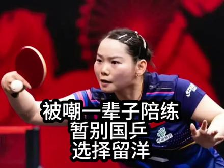 被嘲一辈子陪练!何卓佳暂别国乒留洋波兰,真实收入曝光#何卓佳#国乒