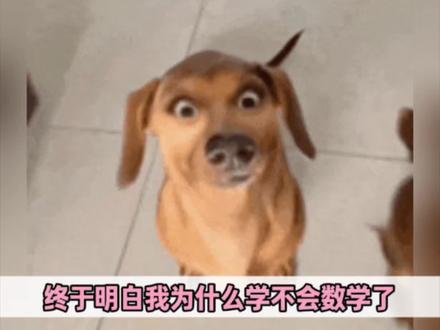 细思鼻孔!难怪我学不好数学呢 #抖音二创激励计划 #喜爱度激励计划 #内容启发分享计划 #抽象 #万万没想到