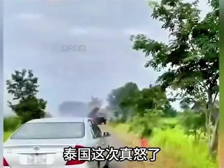 泰王高调“出手了”,让泰军放手去打,为什么泰王要打柬埔寨?#军事科技#军事科普