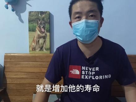 狗狗中毒了别怕,三种药帮你起死回生
