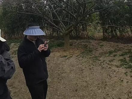 喜欢爬山,🍒和风一起捕捉山顶的风景 🏃感受大自然的气息🍀 与梅花同乐,共喜悦!🍎🍎🍎