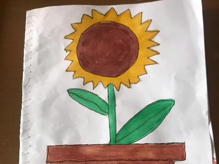 #手工制作绘本 向日葵的成长小书📖🌻