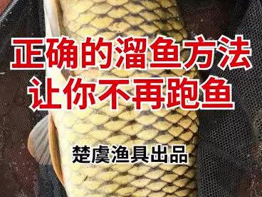 正确的溜鱼方法,让你不再跑鱼!!!@抖音小助手