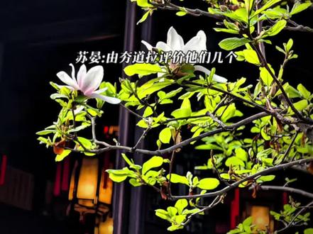 苏晏不愧是端水大师哈哈哈#再世权臣 #苏晏 #猫耳fm #广播剧