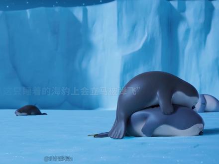 能不能分给我一个哄睡海豹啊 #神仙剪刀手 #海豹看看 #可爱