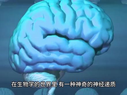 多巴胺的奇妙之旅#生命科学 #免疫细胞 #免疫系统 #多巴胺 #人体 #科普健康知识 #健康 #免疫力 #生命科学 #中视频伙伴计划