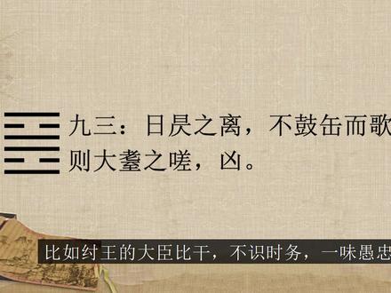 周易白话译解《离卦》:良禽择木而栖,良臣择主而事 #易学 #易学智慧 #弘扬国学经典文化 #国学文化