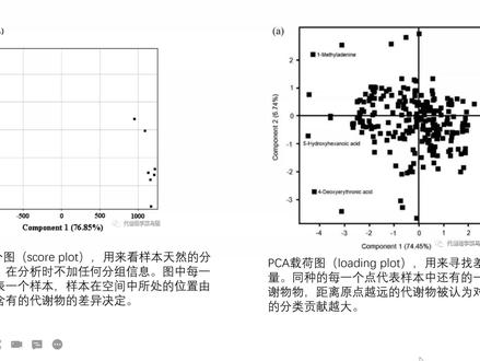 得分图和载荷图